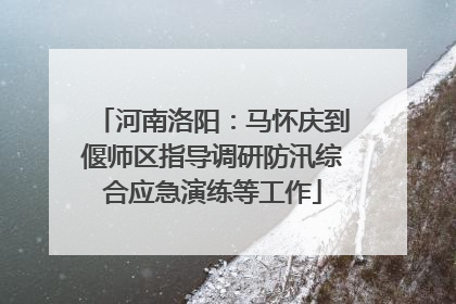 河南洛阳：马怀庆到偃师区指导调研防汛综合应急演练等工作