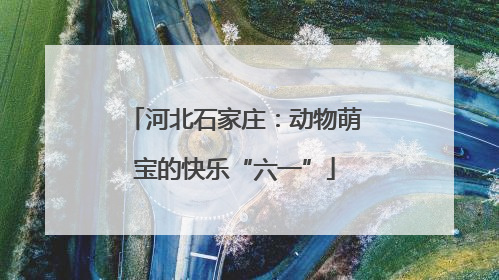 河北石家庄：动物萌宝的快乐“六一”