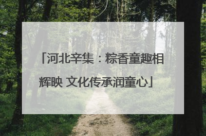 河北辛集：粽香童趣相辉映 文化传承润童心
