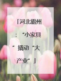 河北霸州：“小家具”撬动“大产业”