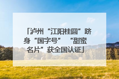 泸州“江阳桂圆”跻身“国字号” “甜蜜名片”获全国认证