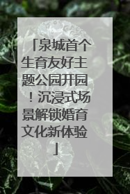 泉城首个生育友好主题公园开园！沉浸式场景解锁婚育文化新体验