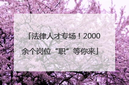 法律人才专场！2000余个岗位“职”等你来