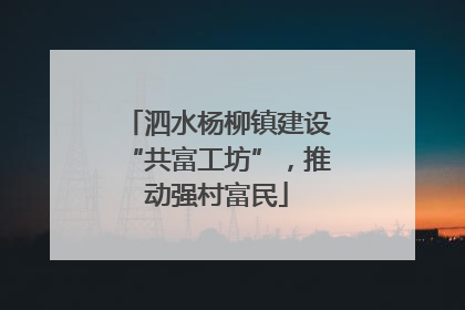 泗水杨柳镇建设“共富工坊”，推动强村富民