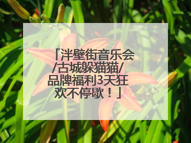 泮壁街音乐会/古城躲猫猫/品牌福利3天狂欢不停歇！
