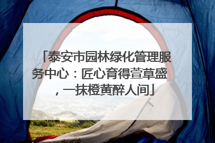 泰安市园林绿化管理服务中心：匠心育得萱草盛，一抹橙黄醉人间