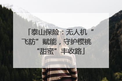 泰山保险：无人机“飞防”赋能，守护樱桃“甜蜜”丰收路