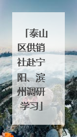 泰山区供销社赴宁阳、滨州调研学习