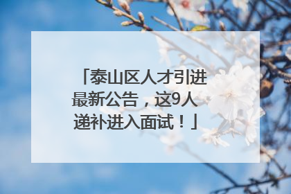泰山区人才引进最新公告，这9人递补进入面试！
