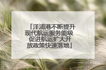 洋浦港不断提升现代航运服务能级 促进航运扩大开放政策快速落地