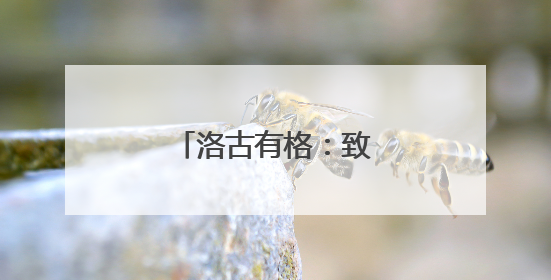 洛古有格：致富永远在路上
