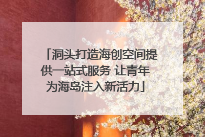 洞头打造海创空间提供一站式服务 让青年为海岛注入新活力