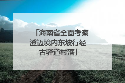 海南省全面考察澄迈境内东坡行经古驿道村落