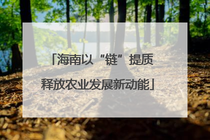 海南以“链”提质 释放农业发展新动能