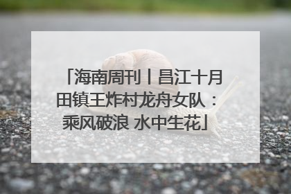 海南周刊丨昌江十月田镇王炸村龙舟女队：乘风破浪 水中生花