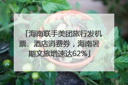 海南联手美团旅行发机票、酒店消费券，海南暑期文旅增速达62%
