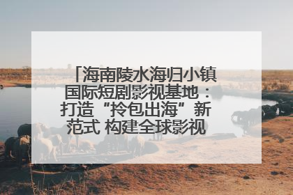 海南陵水海归小镇国际短剧影视基地：打造“拎包出海”新范式 构建全球影视产业“新热土”