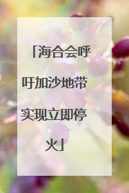 海合会呼吁加沙地带实现立即停火