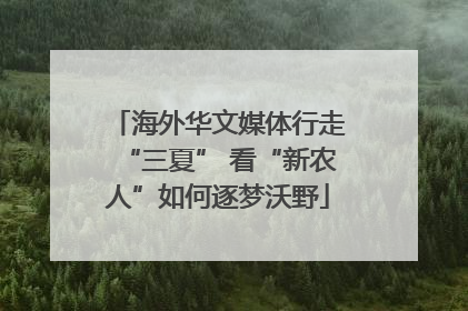 海外华文媒体行走“三夏” 看“新农人”如何逐梦沃野
