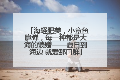 海蛏肥美，小章鱼脆弹，每一种都是大海的馈赠——夏日到海边 就爱那口鲜