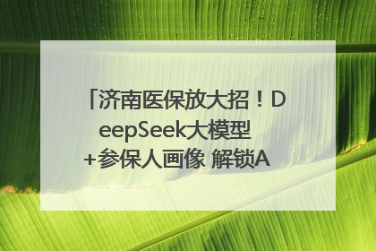 济南医保放大招！DeepSeek大模型+参保人画像 解锁AI医保管家新体验