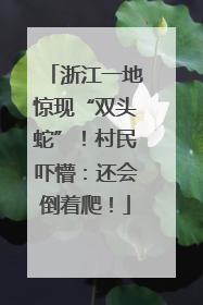 浙江一地惊现“双头蛇”！村民吓懵：还会倒着爬！