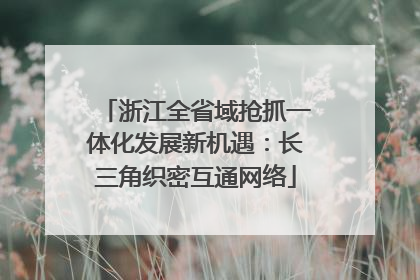 浙江全省域抢抓一体化发展新机遇：长三角织密互通网络