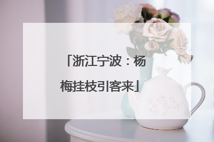 浙江宁波：杨梅挂枝引客来