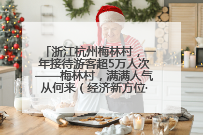 浙江杭州梅林村，一年接待游客超5万人次——梅林村，满满人气从何来（经济新方位·农村消费观察）