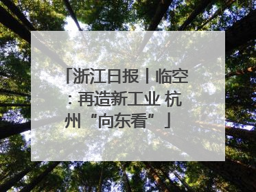 浙江日报丨临空：再造新工业 杭州“向东看”