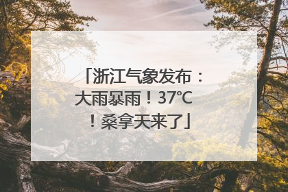 浙江气象发布：大雨暴雨！37℃！桑拿天来了