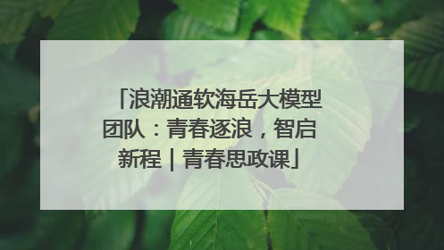 浪潮通软海岳大模型团队：青春逐浪，智启新程｜青春思政课