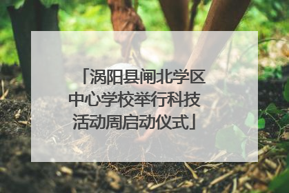 涡阳县闸北学区中心学校举行科技活动周启动仪式