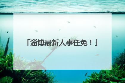淄博最新人事任免！