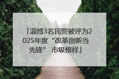 淄博3名民警被评为2025年度“改革创新当先锋” 市级榜样