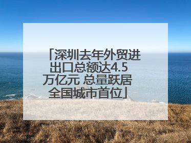 深圳去年外贸进出口总额达4.5万亿元 总量跃居全国城市首位