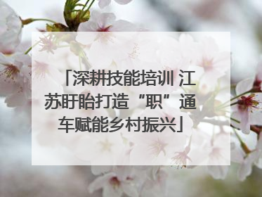 深耕技能培训 江苏盱眙打造“职”通车赋能乡村振兴