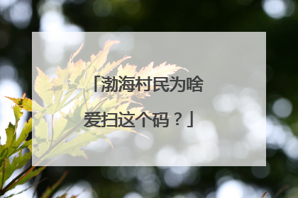 渤海村民为啥爱扫这个码？