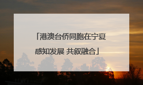 港澳台侨同胞在宁夏感知发展 共叙融合