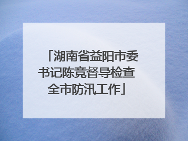 湖南省益阳市委书记陈竞督导检查全市防汛工作