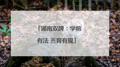 湖南双牌：学前有法 善育有规