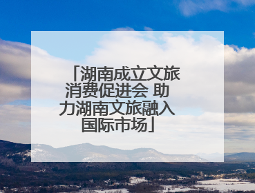 湖南成立文旅消费促进会 助力湖南文旅融入国际市场