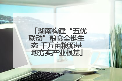 湖南构建“五优联动”粮食全链生态 千万亩粮源基地夯实产业根基