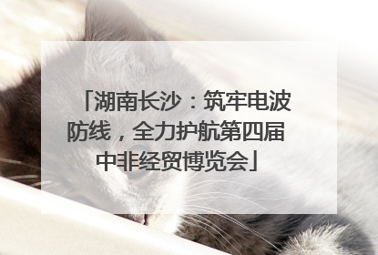 湖南长沙：筑牢电波防线，全力护航第四届中非经贸博览会