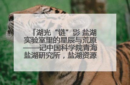 湖光“链”影 盐湖实验室里的星辰与荒原——记中国科学院青海盐湖研究所，盐湖资源化学实验室党总支书记、副主任刘忠