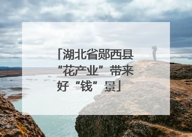 湖北省郧西县“花产业”带来好“钱”景
