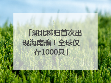 湖北秭归首次出现海南鳽！全球仅存1000只