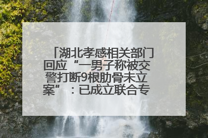 湖北孝感相关部门回应“一男子称被交警打断9根肋骨未立案”：已成立联合专班开展工作