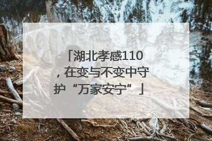 湖北孝感110，在变与不变中守护“万家安宁”