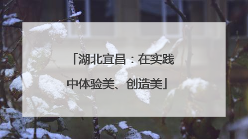湖北宜昌：在实践中体验美、创造美